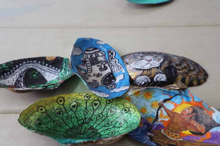 河蚌壳的用途(河蚌壳有什么用功效)