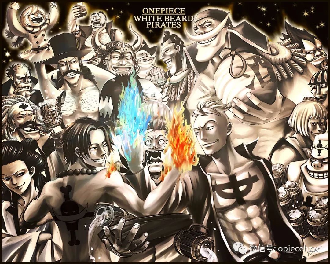 艾斯17岁出海时就凭借自己的能力迅速的成立了"黑桃海贼团".