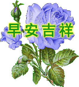 特漂亮的早上好动图表情早上好问候语表情图片大全