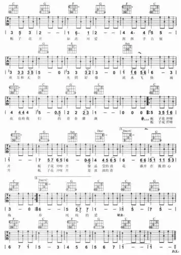 栀子花开吉他谱