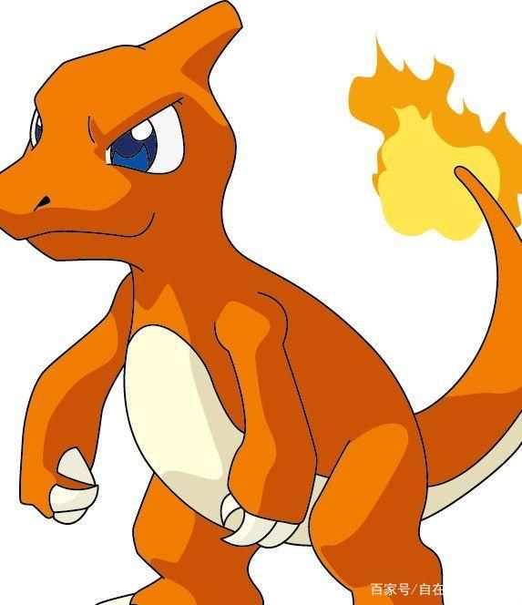 神奇宝贝:喷火龙mega进化后超帅气,但一开始还是萌萌的小火龙