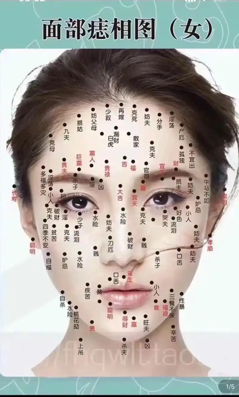 神奇的面相学
