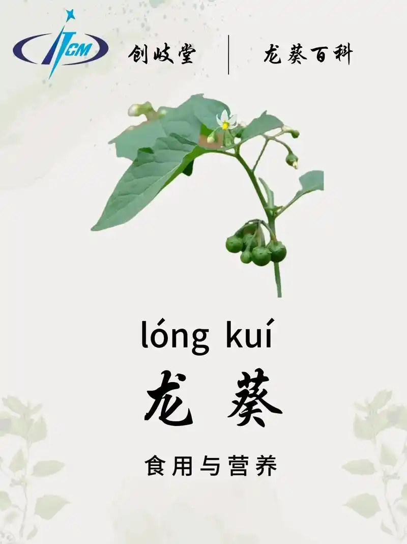 9595带你认识龙葵-食用与营养.龙葵可以作为蔬菜食用,将龙 - 抖音
