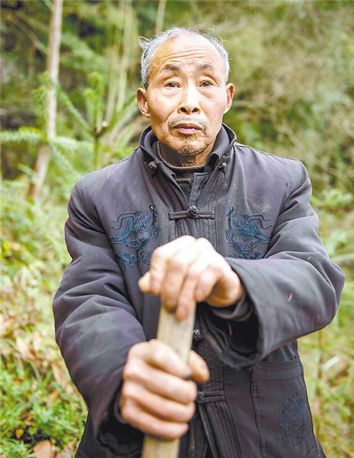 重庆:73岁老人用36年种下34107棵树