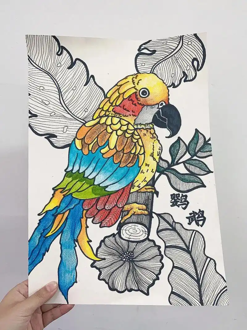 《彩铅鹦鹉》带你轻松学画画@美术文化艺术交流中心 @卡通动漫 - 抖音