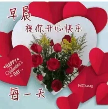 最新漂亮早上好动态图片表情带字和鲜花