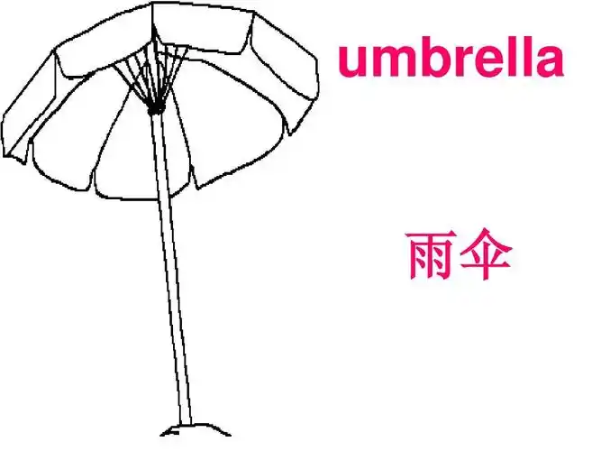 umbrella 雨伞