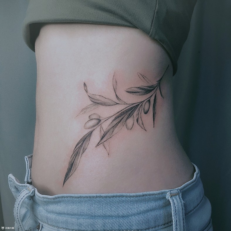 清新腰线橄榄枝_腰部点刺纹身图案大全 - 纹身大咖