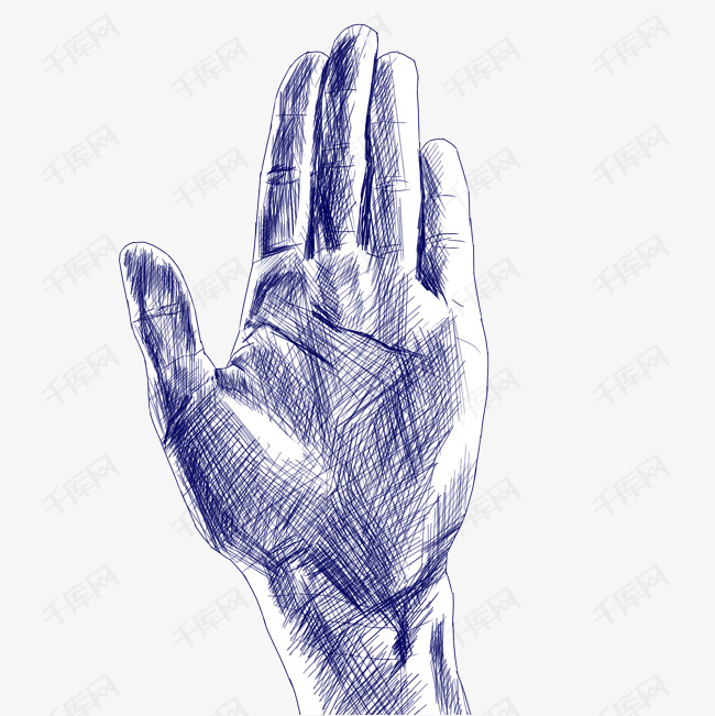 手掌素描插图装饰