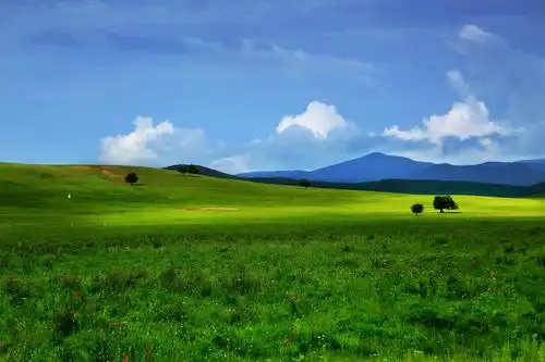 碧空高远,求净心素雅,曾是梦中记忆