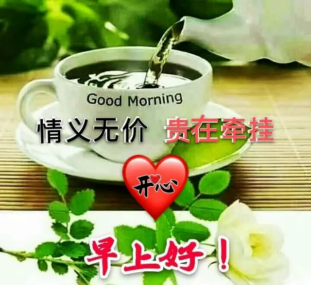 11月14日最新创意好看的早上好祝福图片带字温馨 2023唯美早安问候
