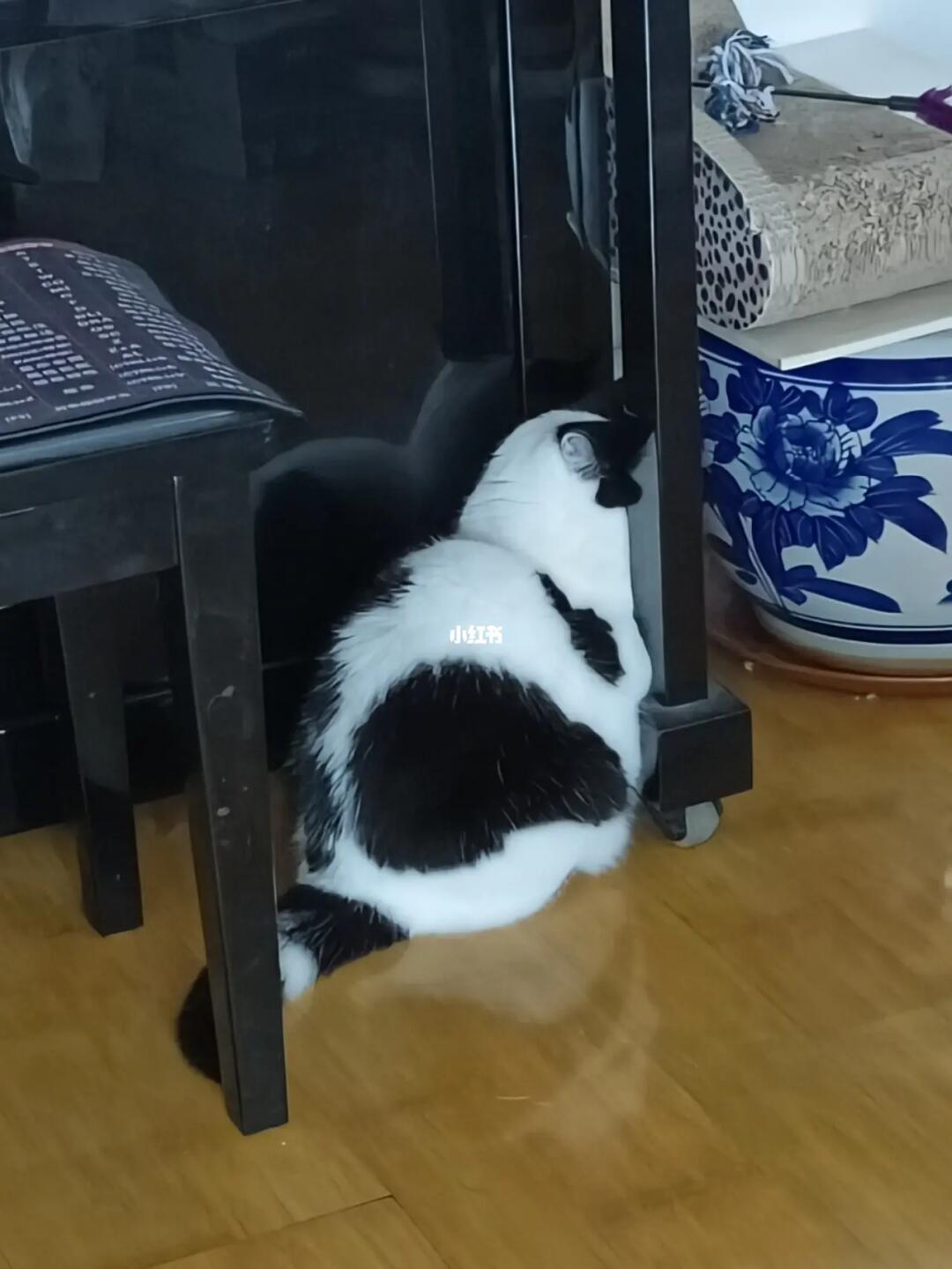 藏起来了,又没完全藏起来