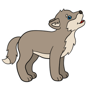 卡通动物.小小的可爱的小宝贝狼的嚎叫声照片