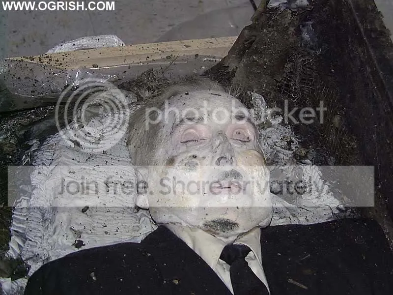 真实的吸血鬼! - 鬼魅丽影【图片】 - 爱上灵异网