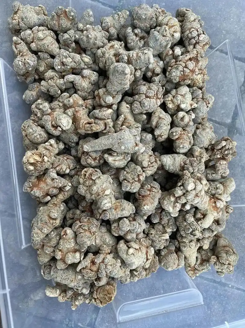 云南文山三七原色