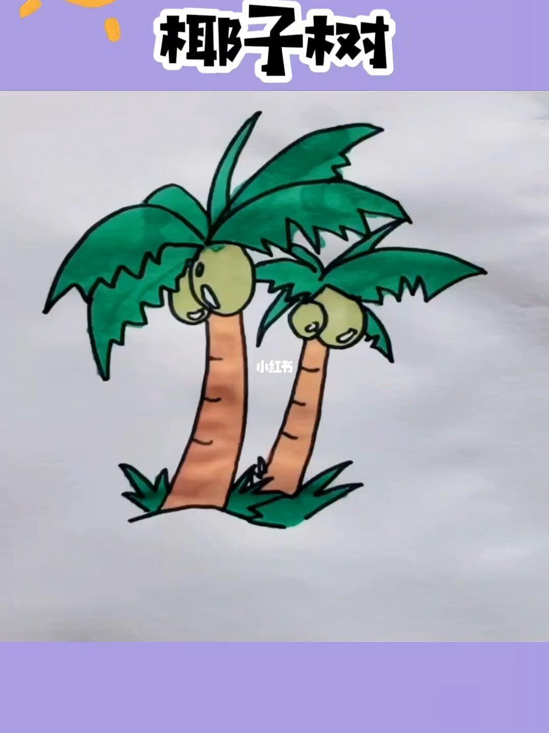 椰子树简笔画教程