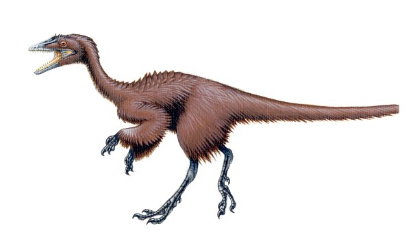p>美颌龙(学名:compsognathus)又称细颚龙,细颈龙,新颚龙,秀颚龙,是