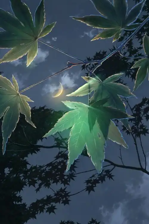 唯美二次元意境图片言叶之庭手绘高清动漫手机壁纸