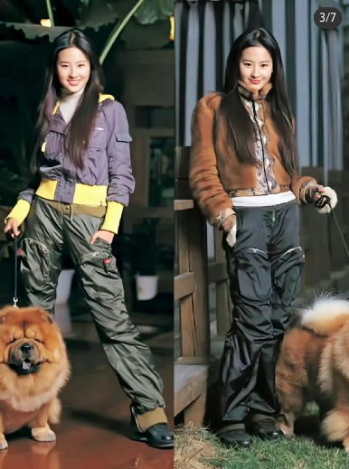 刘亦菲和她的丑衣服们!