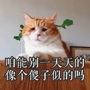 咱能别一天天的像个傻子似的吗