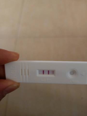 还有两天来月经,换了个验孕棒也是双杠,这是怀上了吗?