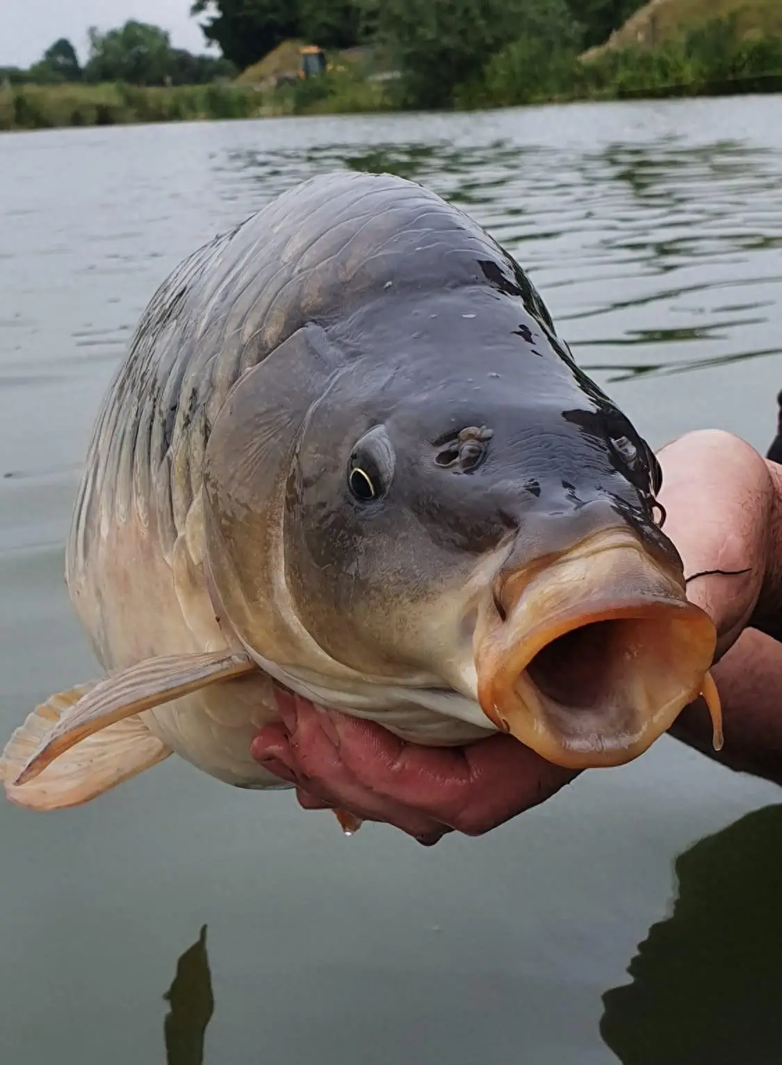 钓大鱼是个技术活儿,先从准备工作开始……_竿子_沙坑_鲤鱼