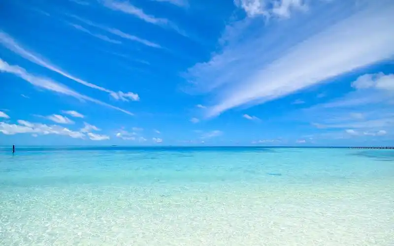 夏天该有的样子