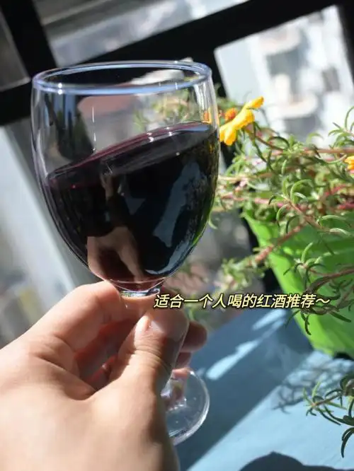 适合一个人喝的红酒推荐给生活多点色彩