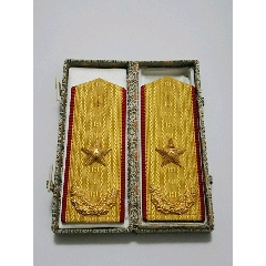 87式红色收藏陆*少将肩章(稀少)