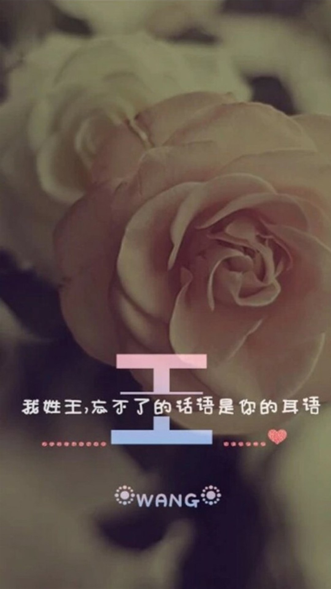 百家姓王姓锁屏