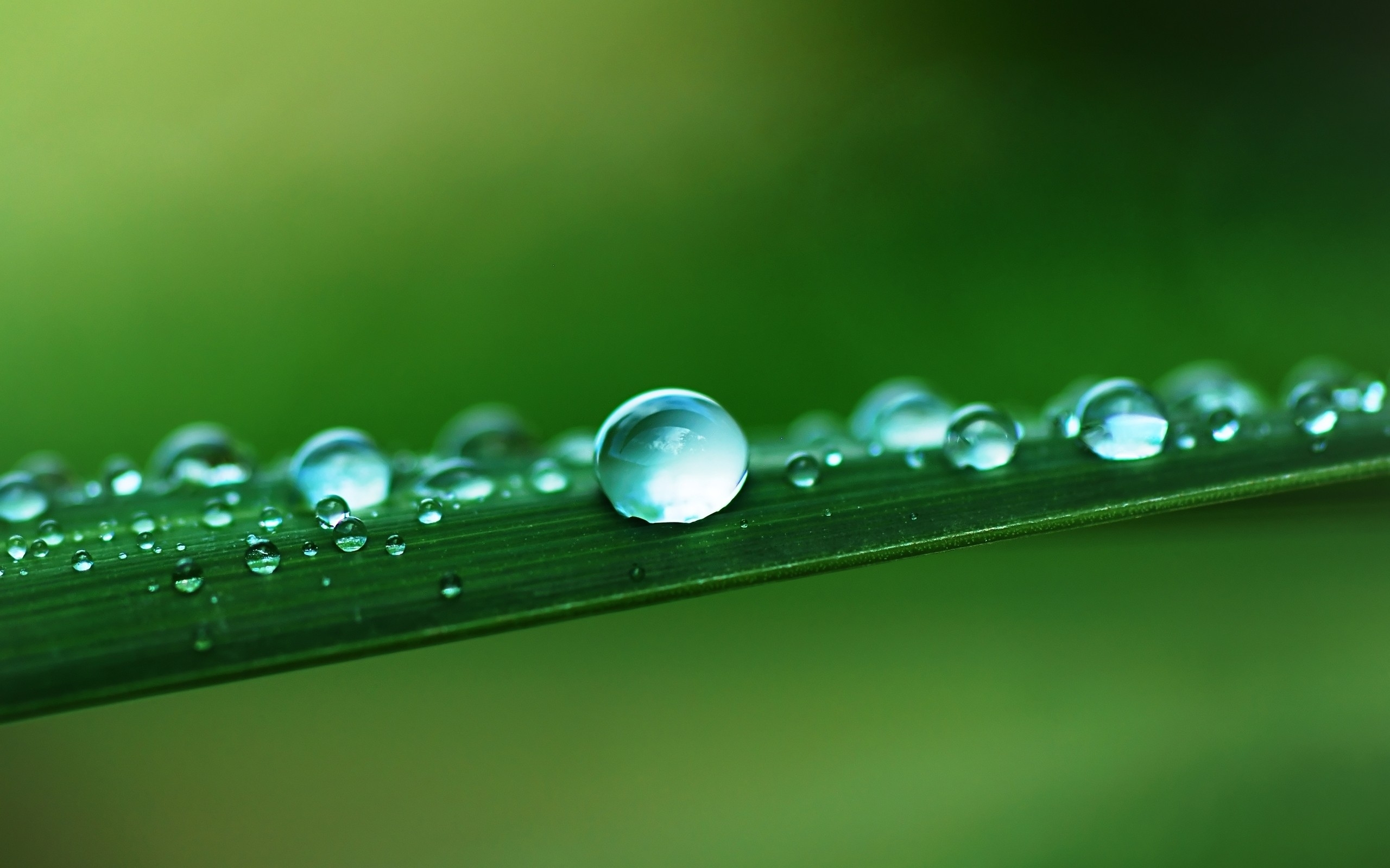 华为 matepad pro 清新 护眼 壁纸