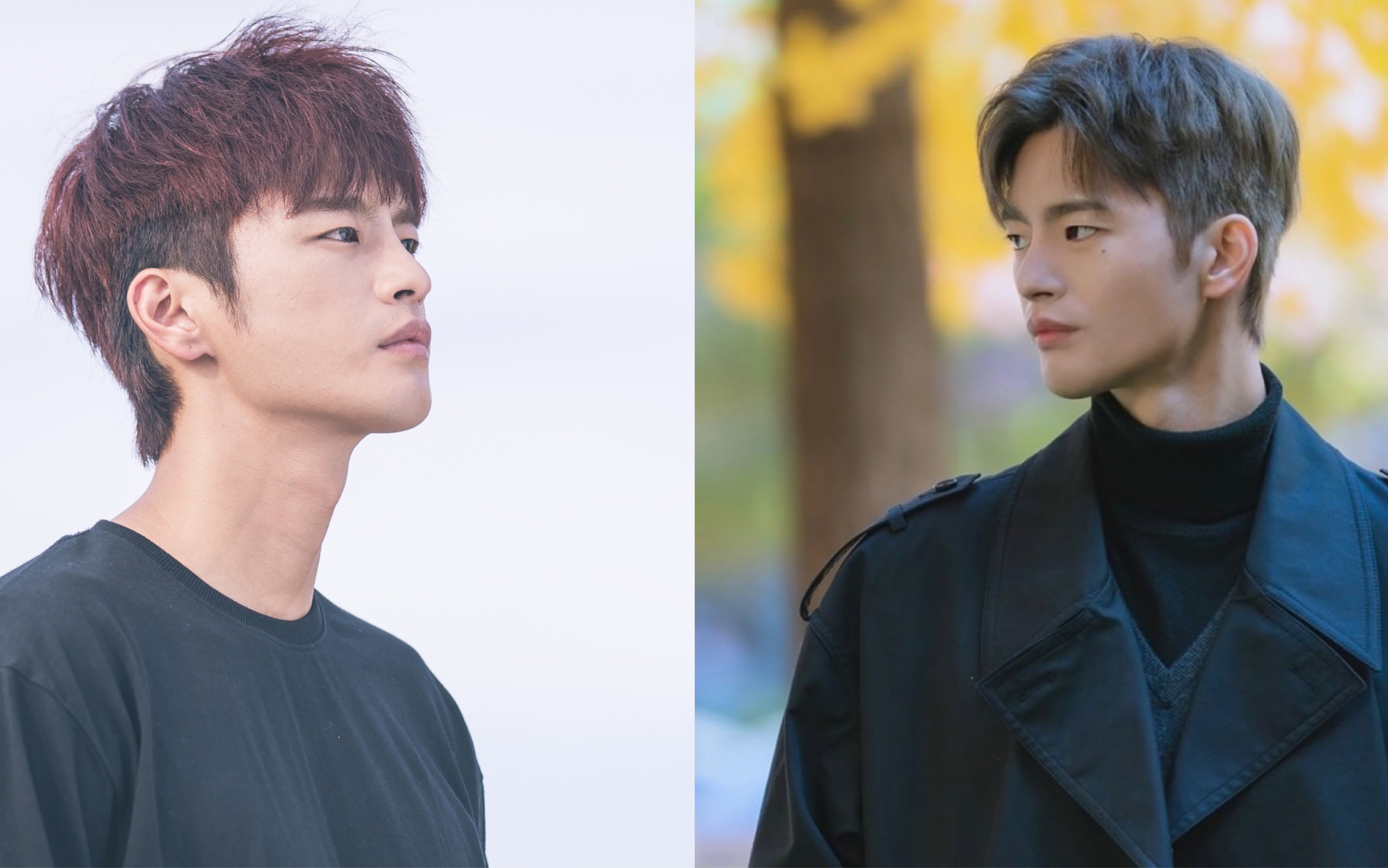 徐仁国|灭亡对话金武英