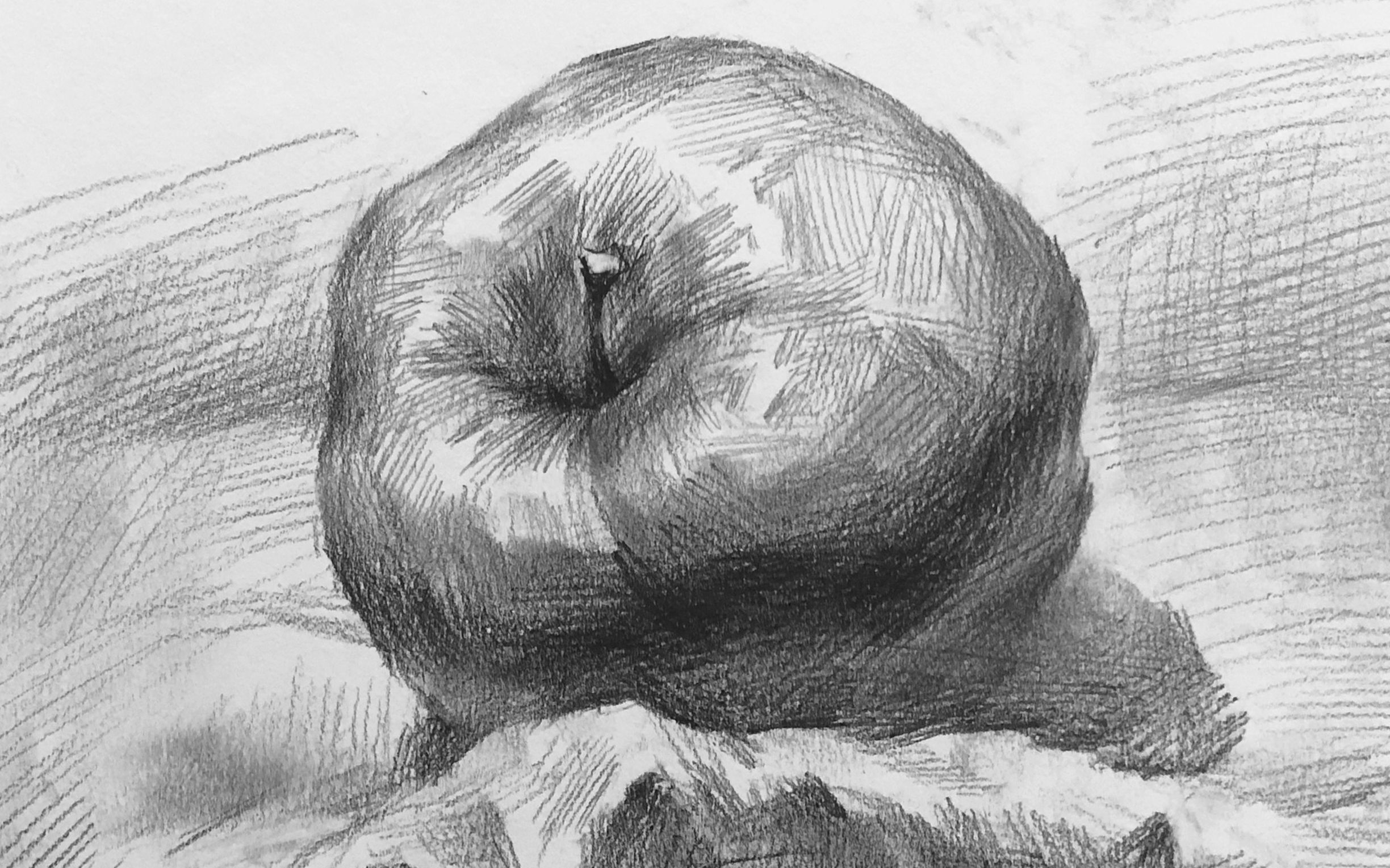 素描静物基础入门苹果照片写生