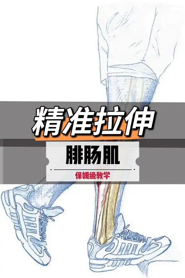 腓肠肌拉伸.腓肠肌是身体最强壮的肌肉之一.虽然它体积不大,但 - 抖音