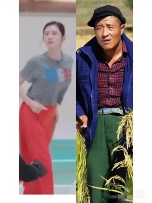 秋秋|谢欣|瞿颖|大兵|张嘉倪|ella_网易订阅