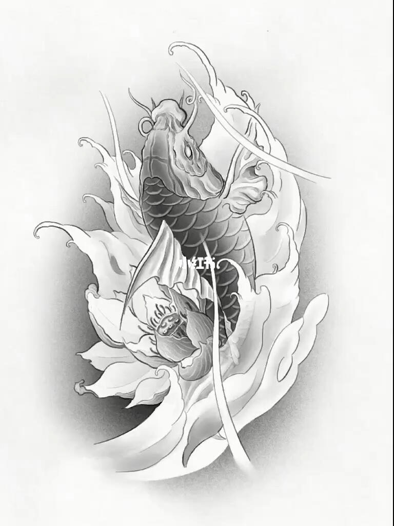 鲤鱼纹身手稿
