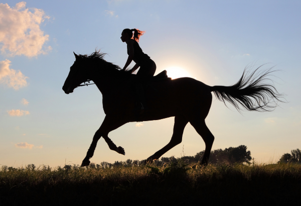 五一出行圆你的骑马梦
