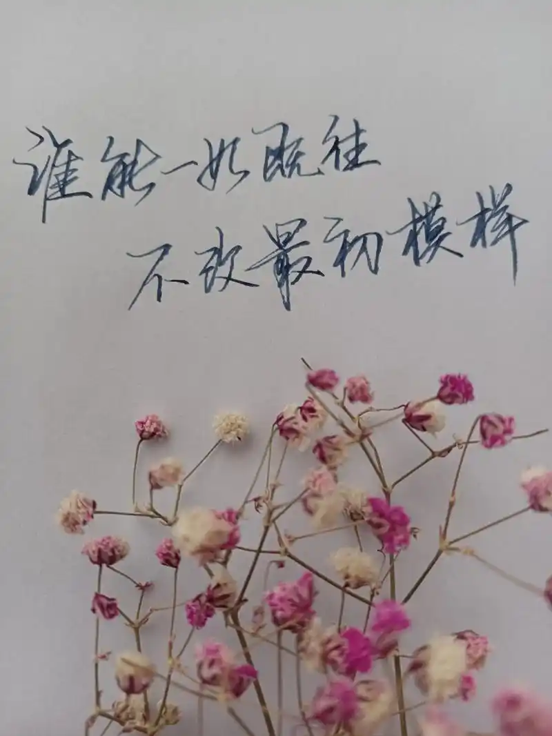 别回头,谁也不是以前的样子了.#情感 #生活感悟 #感触 # - 抖音