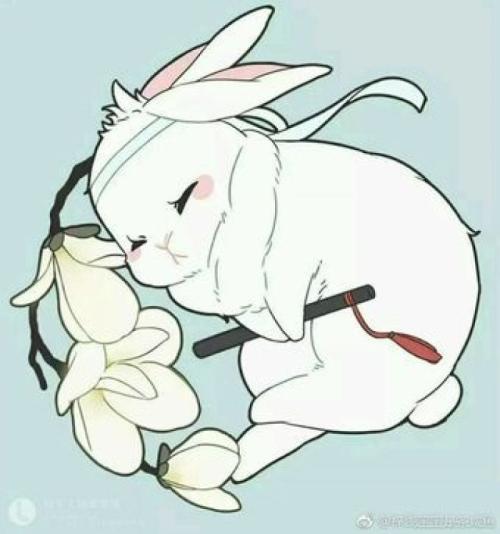 魔道祖师蓝忘机简笔画蓝忘机和魏无羡兔子的简笔画儿童画动物小兔子的