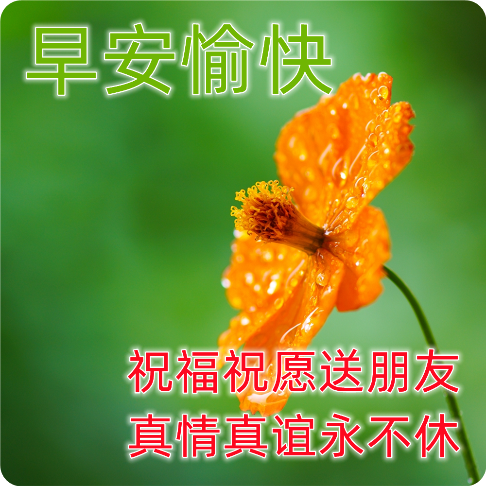 夏天早上好问候祝福语图片 最新早安图片 1.