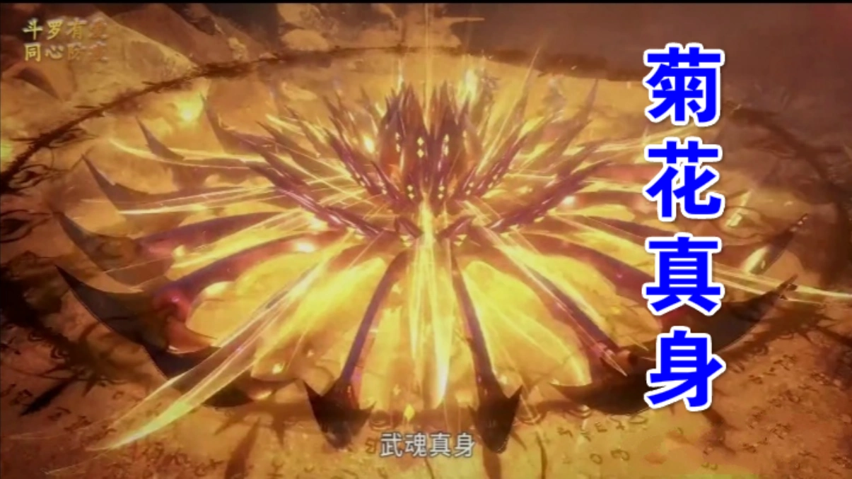 第七魂技就是魂师的真身魂技,除了武魂真身就是器魂真身.