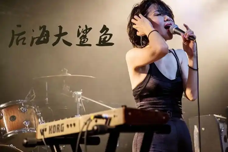 后海大鲨鱼出场费多少