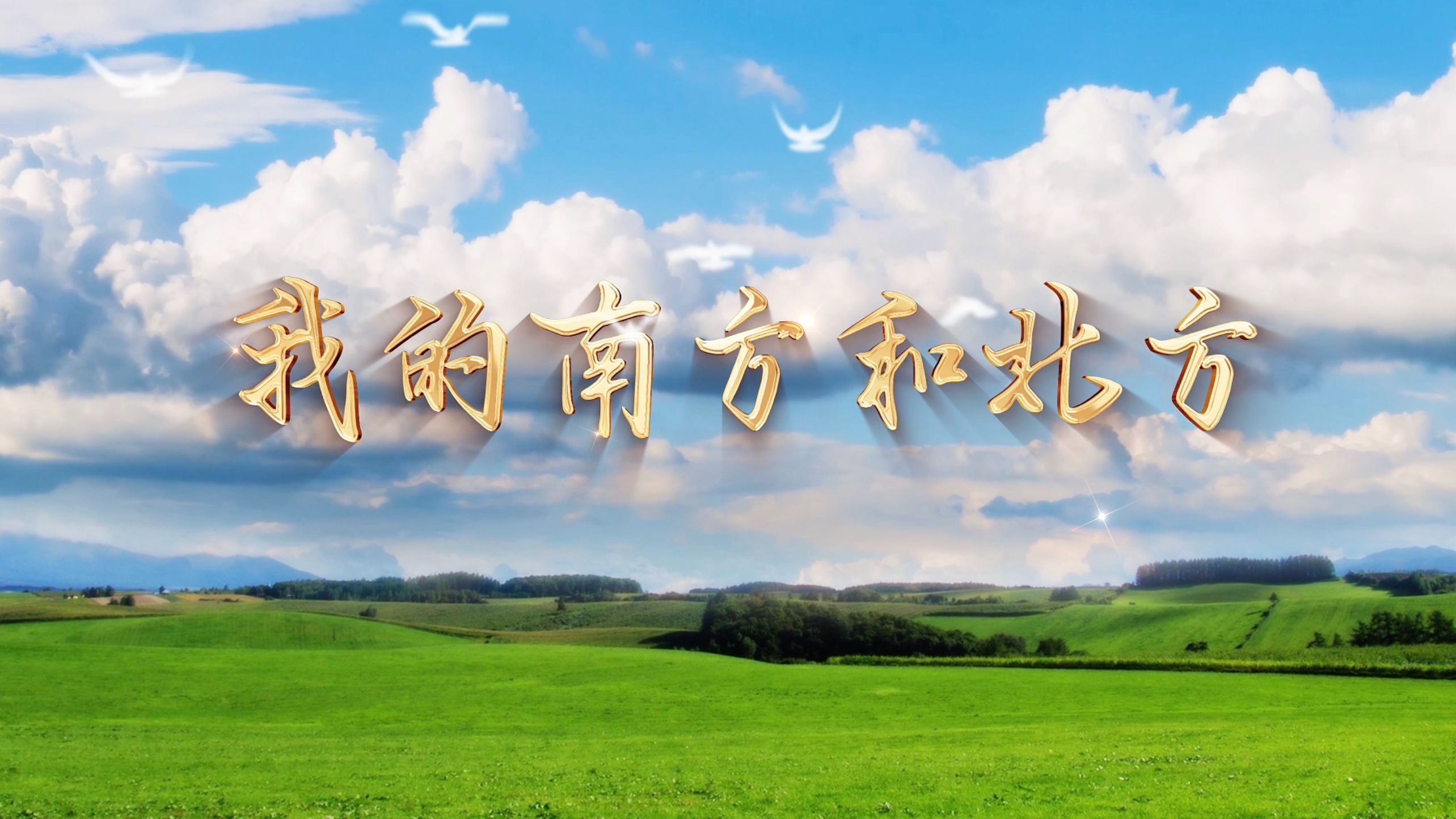 《我的南方和北方》