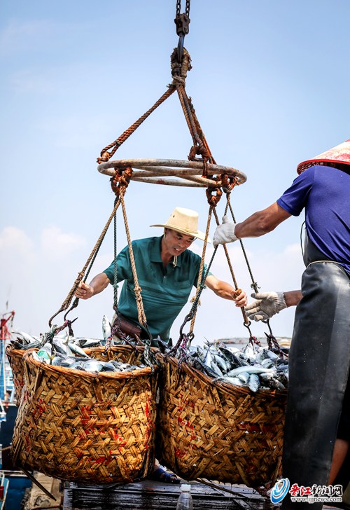 晋江深沪中心渔港码头:出海渔船满载而归