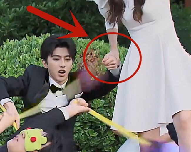 蔡徐坤和angelababy疑似一起出海游玩一名旅游博主在自己的社交账号上