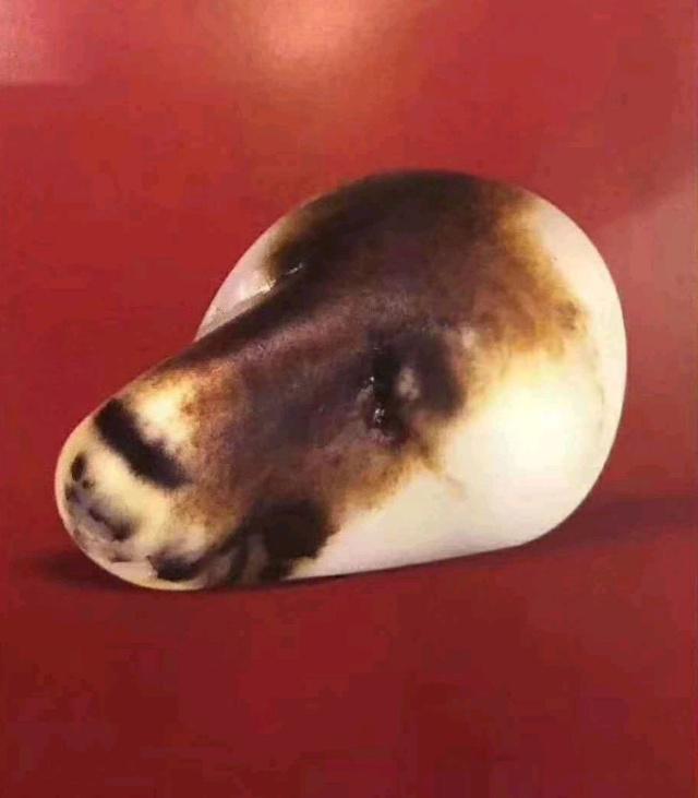 奇石为什么使人着迷