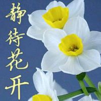 静待花开意境微信头像【点击鼠标右键下载】