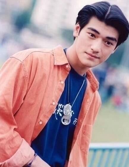 他们曾经都是男神,如今却身材走样,颜值暴跌不敢见人_吴彦祖_王力宏