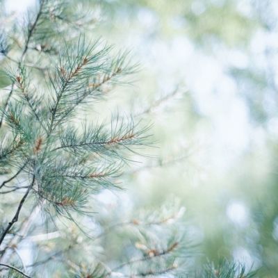 简单唯美小清新风景头像最新