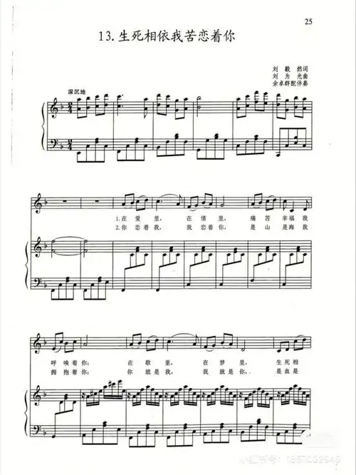 共和国之恋谱子